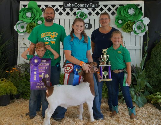 2019 Lake County Fair Grand Champion Goat