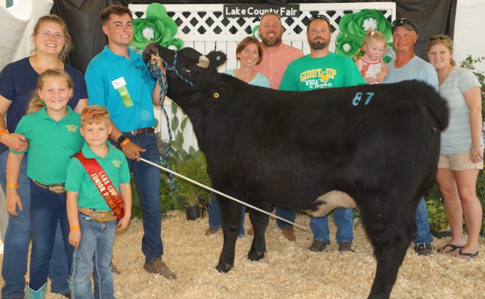 2019 Lake County Fair Grand Champion Market Heifer