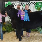 2019 Lake County Fair sale totals $173,500 2019 Lake County Fair Grand Champion Market Beef