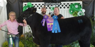 2019 Lake County Fair Grand Champion Market Beef