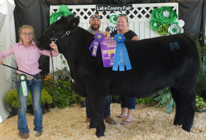 2019 Lake County Fair Grand Champion Market Beef