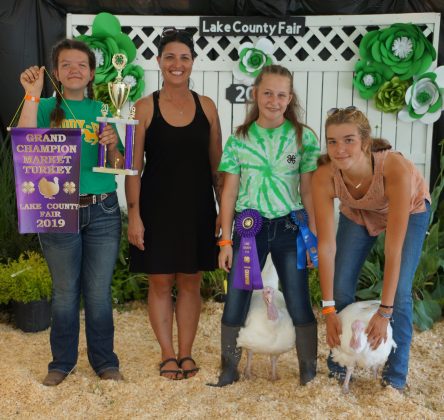 2019 Lake County Fair Grand Champion Market Turkey/Reserve Champion Poultry Project