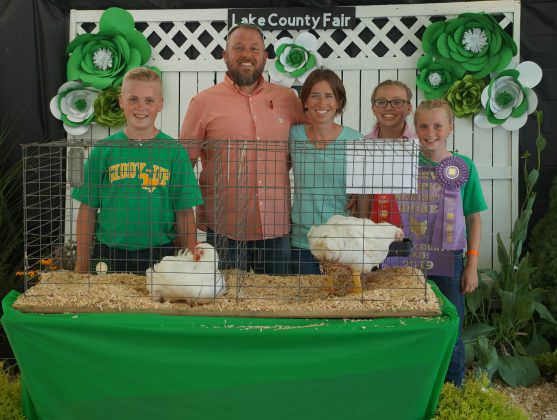 2019 lake County Fair Reserve Champion Chickens