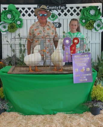 2019 Lake County Fair Reserve Champion Ducks