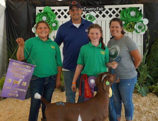 2019 Lake County Fair Reserve Champion Goat