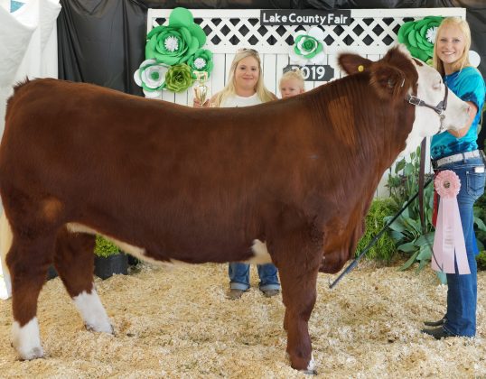 Lake County Fair Reserve Champion Market Beef