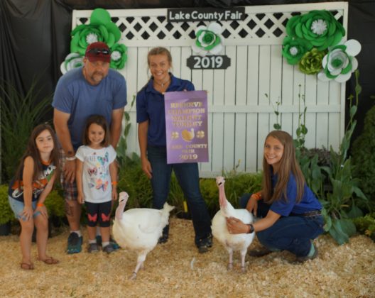 2019 Lake County Fair Reserve Champion Turkey