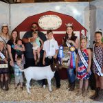 2019 Marshall County 4-H and FFA Goat and Rabbit Club sale results Marshall County 4-H and FFA Goat and Rabbit Club Sale Grand Champion Goat