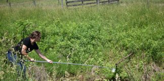 muskingum_collaboration