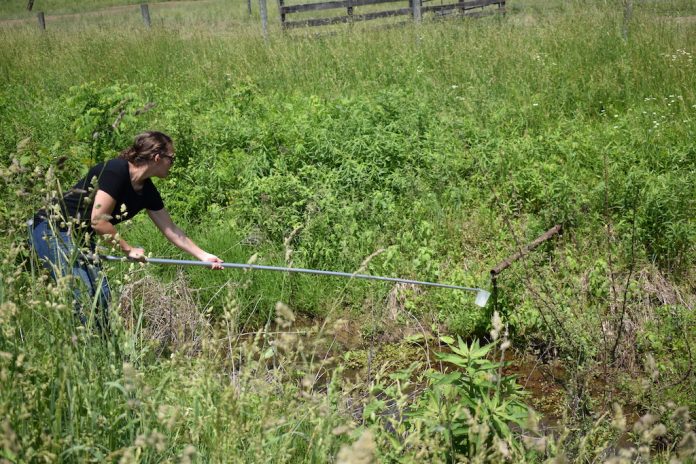 muskingum_collaboration small muskingum_collaboration