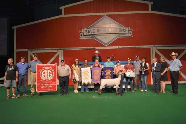 2019 Ohio State Fair Sale Grand Champion Lamb