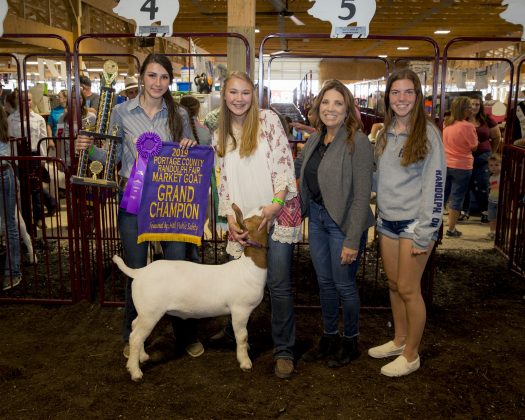 2019 Portage County Fair Grand Champion Goat