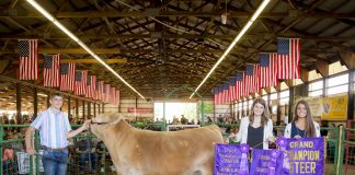 2019 Portage County Fair Grand Champion Steer