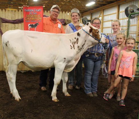 Grace Bardall’s reserve champion dairy feeder sold to Coleman Farm Machinery for $3 per pound.