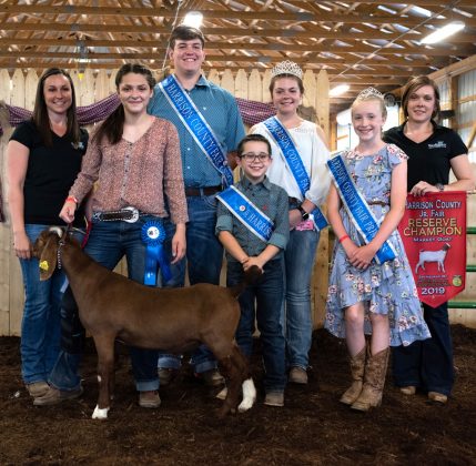 Lauren Ferguson’s reserve champion market goat to WesBanco Bank, Inc. for $1,025.