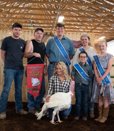 Gabby Rice’s reserve champion market turkey sold Willoughy and Company CPA for $700.
