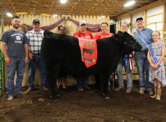 Joyce Barr’s reserve champion market steer sold to D&J Sales and Service and Paris and Washington Insurance for a record $12 per pound.