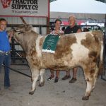 2019 Summit County Fair livestock sale results 2019 Summit County Fair Grand Champion Steer