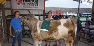 2019 Summit County Fair Grand Champion Steer