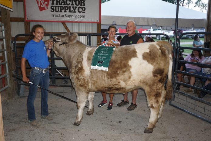 2019 Summit County Fair Grand Champion Steer 2019 Summit County Fair Grand Champion Steer
