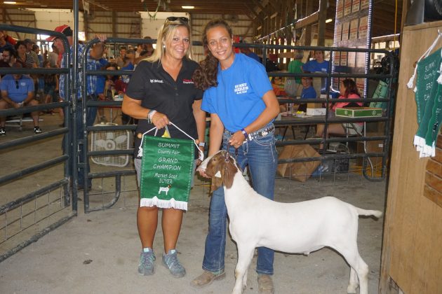 2019 Summit County Fair Grand Champion Goat