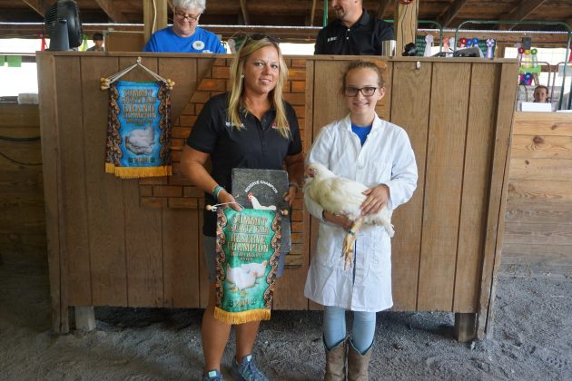 2019 Summit County Fair Reserve Champion Chicken
