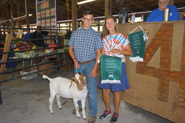 2019 Summit County Fair Reserve Champion Goat