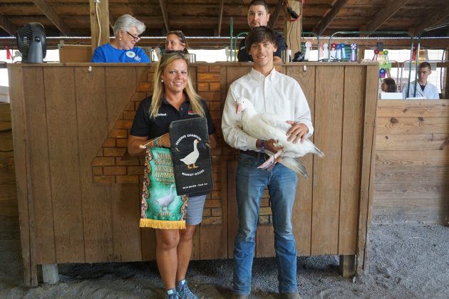 2019 Summit County Fair Reserve Champion Goose