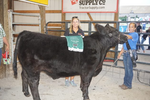 2019 Summit County Fair Reserve Champion Steer