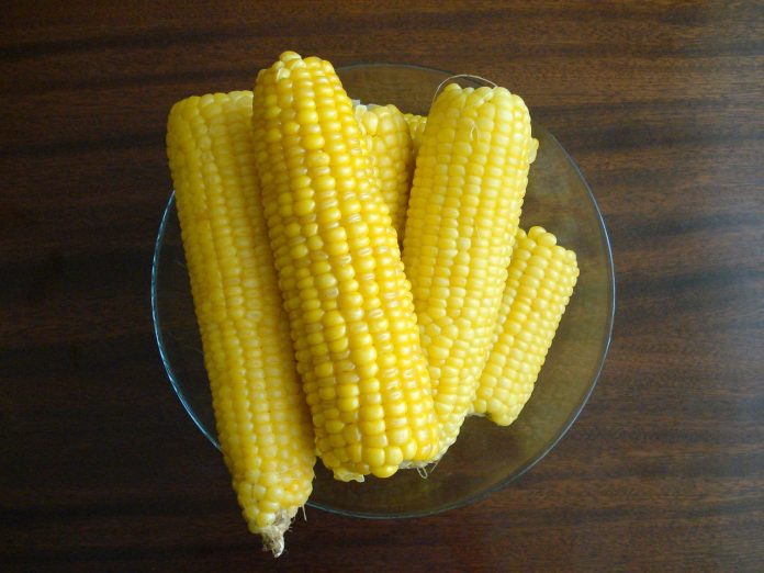 sweet corn sweet corn