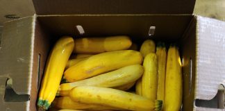 yellow zucchini in a box