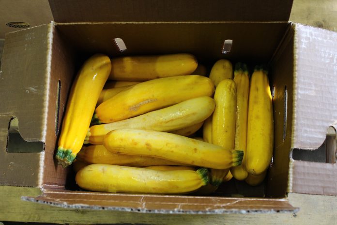 uglycsa3 yellow zucchini in a box