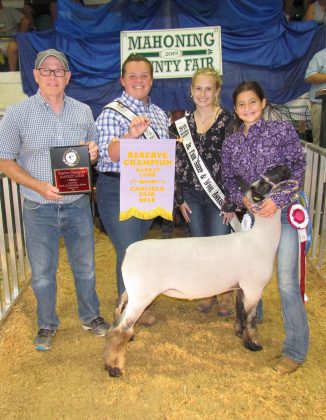 Canfield Fair Reserve Champion Lamb
