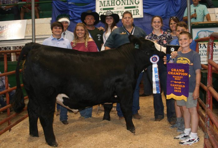Canfield Fair Grand Champion Beef