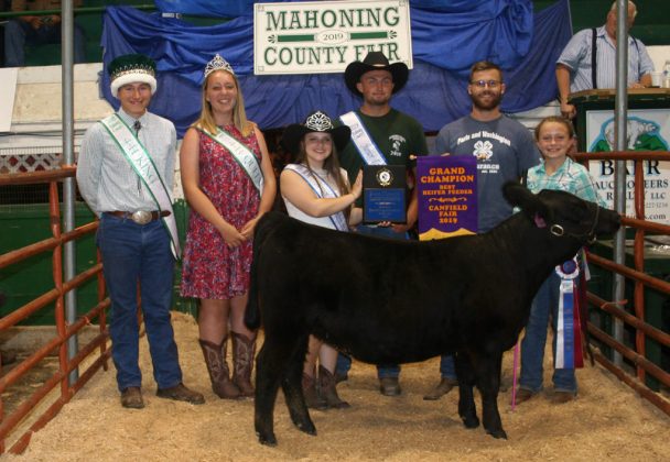 Canfield Fair Grand Champion Beef Heifer Feeder