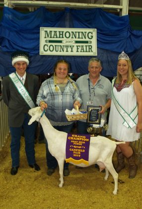 Canfield Fair Grand Champion Goat Milk Fudge
