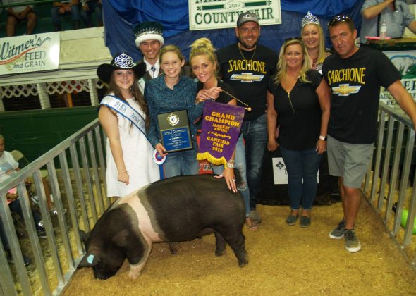 Canfield Fair Grand Champion Hog