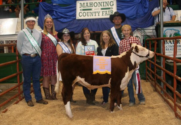 Canfield Fair Reserve Champion Beef Feeder