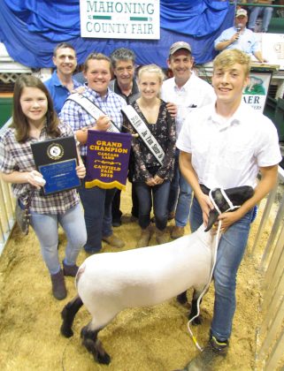 Canfield Fair Reserve Champion Carcass Lamb