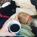 The perils of perky Kym Seabolt's dogs