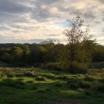 Drop the snark, see the opportunity in meatless trends pasture