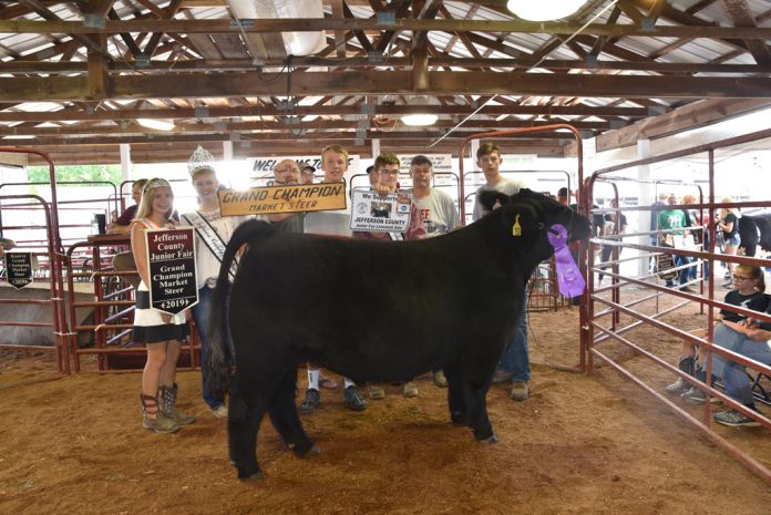 Jefferson County Fair Grand Champion Steer Jefferson County Fair Grand Champion Steer