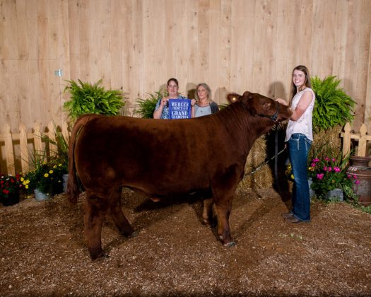 Mercer County Fair Grand Champion Steer