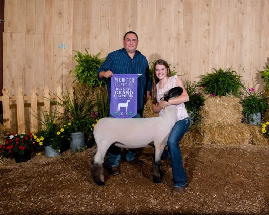 Mercer County Fair Reserve Champion Lamb