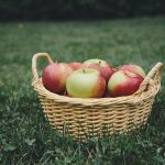 Apple picking: How to choose the ideal apples for your needs Basket of apples