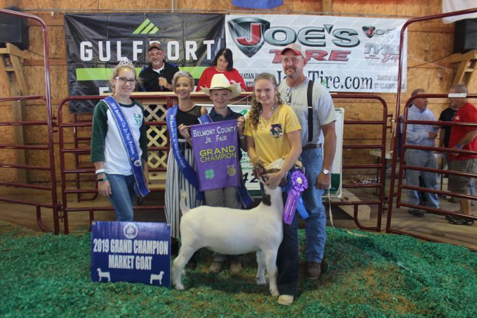 Belmont County Fair Grand Champion Goat Belmont County Fair Grand Champion Goat