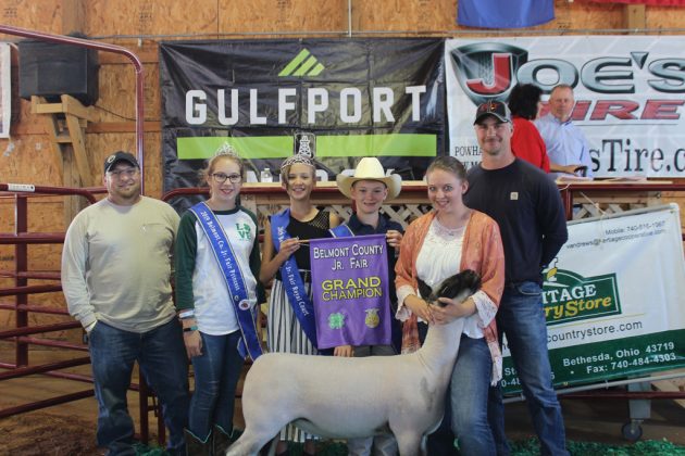 Belmont County Fair Grand Champion Lamb