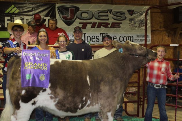 Belmont County Fair Grand Champion Steer