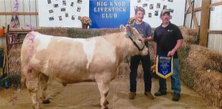 Big Knob Grange Fair Grand Champion Steer