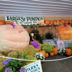 Ohio residents honored for support of fairs Canfield Fair